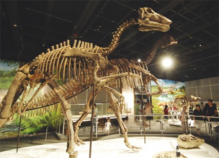 Bảo tàng Khoa học Bảo tàng Khoa học