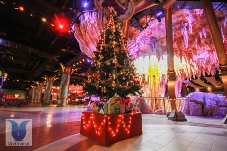 Hồng Kông - DisneyLand từ TP.HCM Dịp Tết Dương Lịch