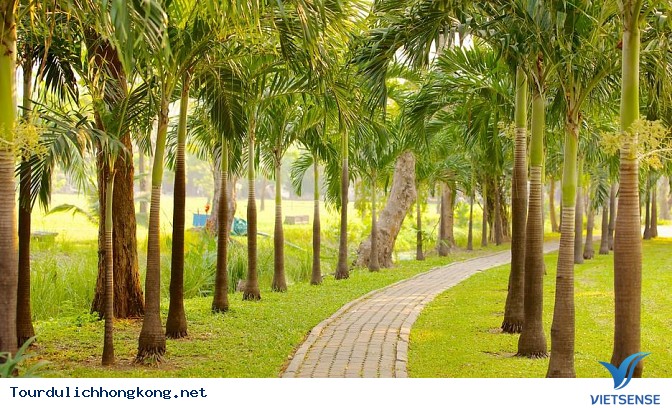 Tận hưởng không gian thư giãn tại Công viên Hồng Kông - Ảnh 3