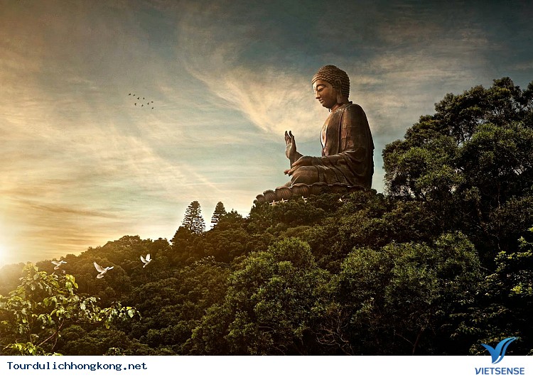 Đảo Đại Nhĩ Sơn Đảo Đại Nhĩ Sơn