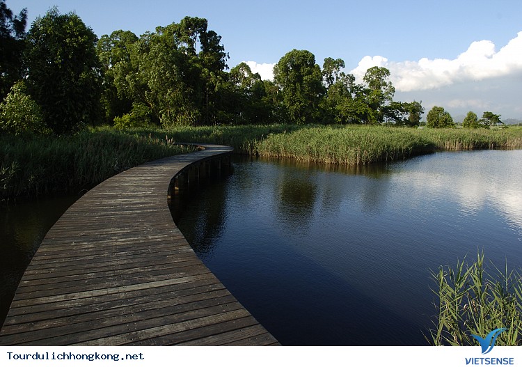 Công viên đầm lầy Wetland Park Công viên đầm lầy Wetland Park