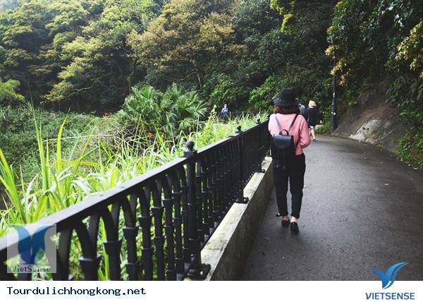 5 điều không thể bỏ qua khi lên đỉnh The Peak Hồng Kông 5 điều không thể bỏ qua khi lên đỉnh The Peak Hồng Kông