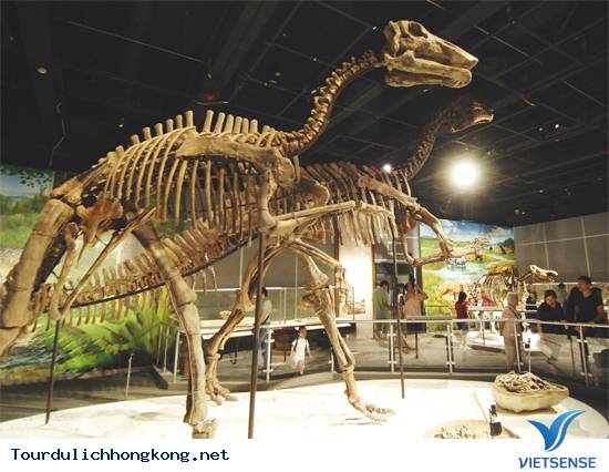 bao-tang-khoa-hoc--tour-du-lich-hong-kong bao-tang-khoa-hoc--tour-du-lich-hong-kong