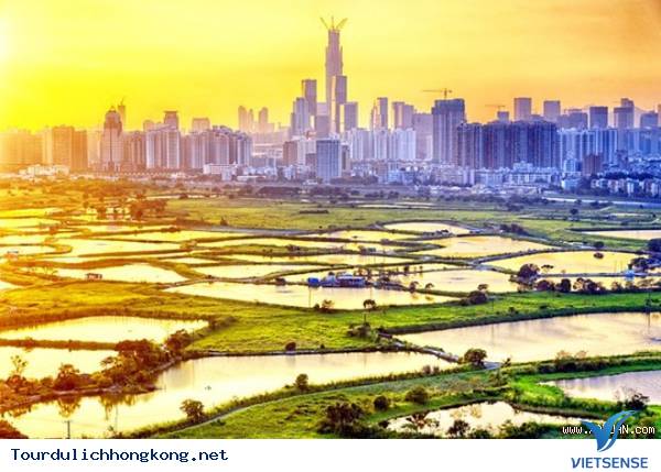 Hoo Hok Wai: Hoo Hok Wai: