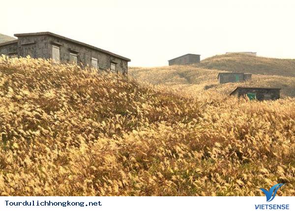 Dadongshan Dadongshan