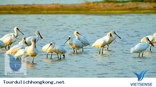 Công viên Hong Kong Wetland Công viên Hong Kong Wetland