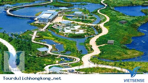 Công viên Hong Kong Wetland Công viên Hong Kong Wetland