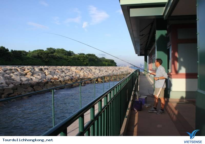 du lịch hongkong qua cảm nhận của dân Phượt du lịch hongkong qua cảm nhận của dân Phượt