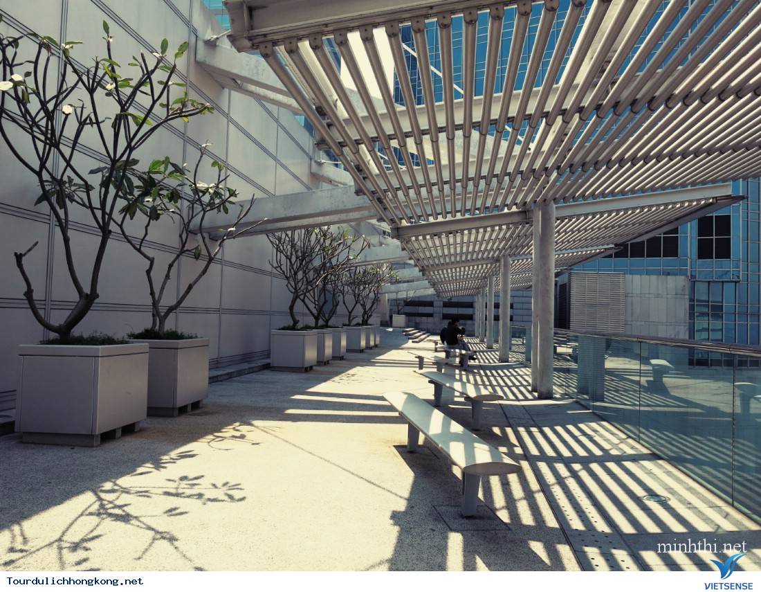 hongkong trung tâm nghệ thuật mới hongkong trung tâm nghệ thuật mới