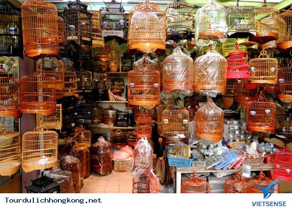 Khám phá chợ Chim Yuen Po - Hồng kông - Ảnh 1