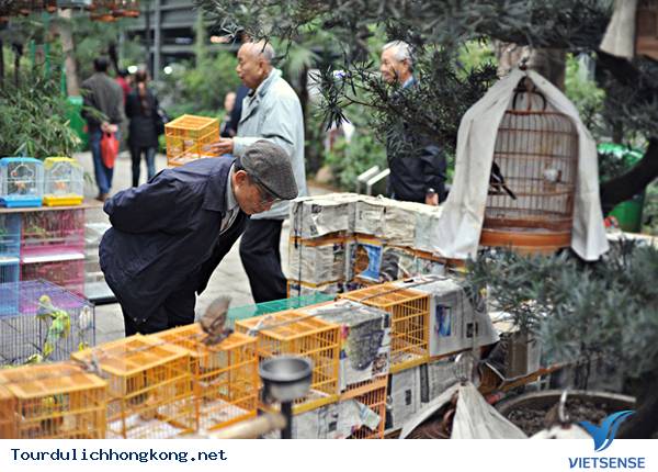 Khám phá chợ Chim Yuen Po - Hồng kông - Ảnh 2