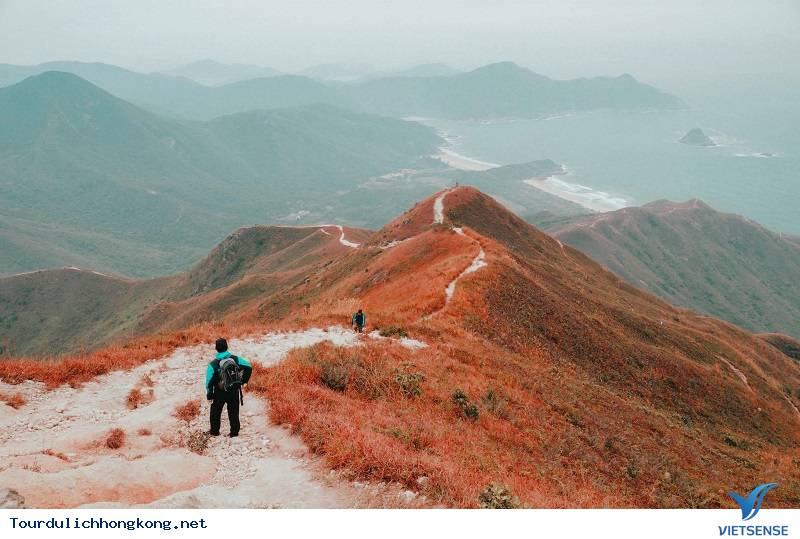 Khám Phá Những Điểm Ngắm Cảnh Đẹp Nhất Hong Kong - Ảnh 5