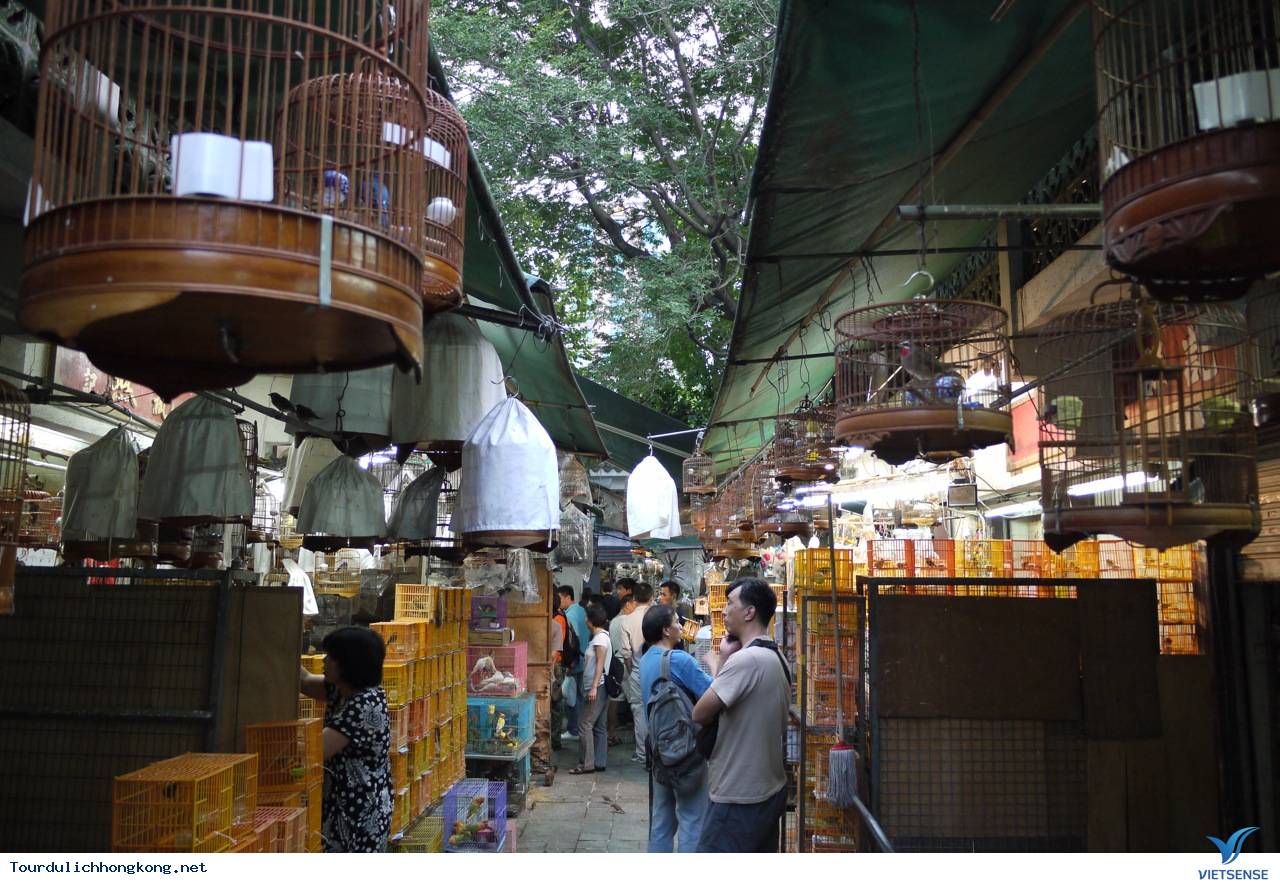 Mua sắm gì khi đi thăm quan Hồng Kông? - Ảnh 14