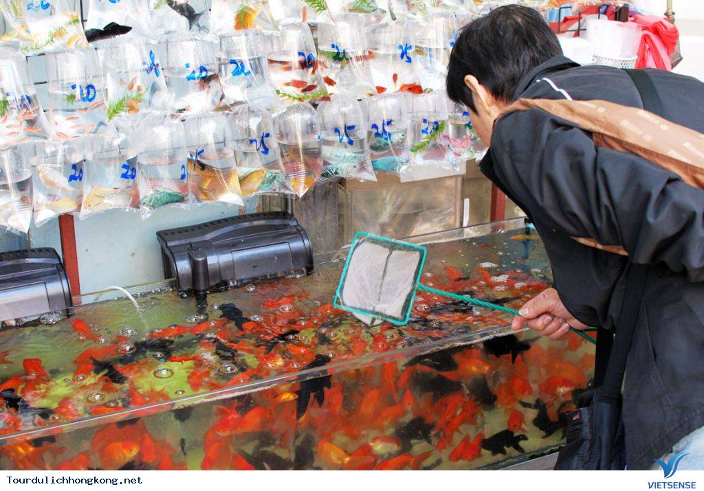 Mua sắm gì khi đi thăm quan Hồng Kông? - Ảnh 13