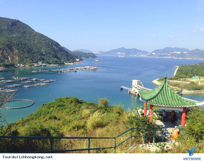 Lo So Shing: Lo So Shing: