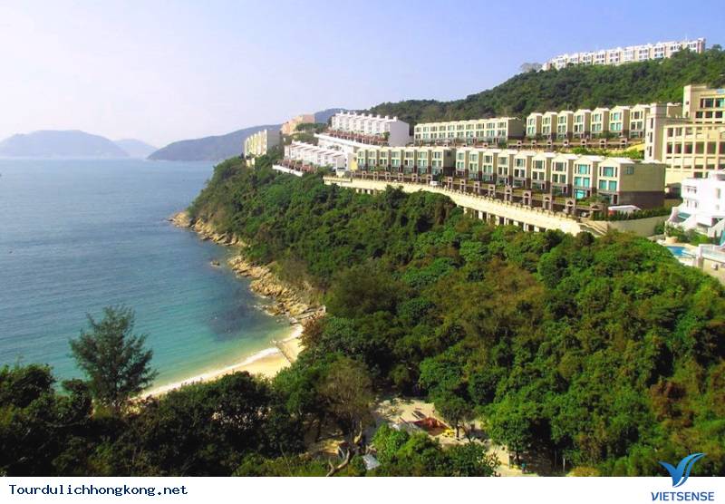 Turtle Cove: Turtle Cove: