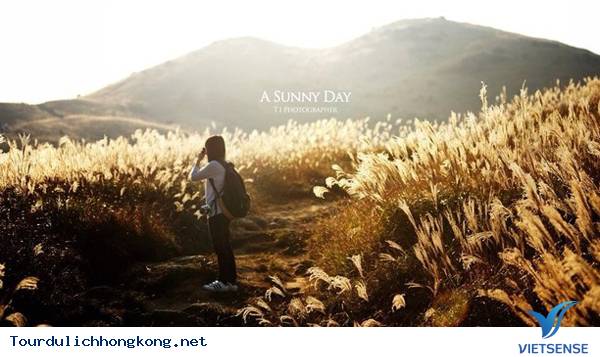 Những địa điểm điểm đẹp mê hồn của Hồng Kông - Ảnh 2 Những địa điểm điểm đẹp mê hồn của Hồng Kông - Ảnh 2