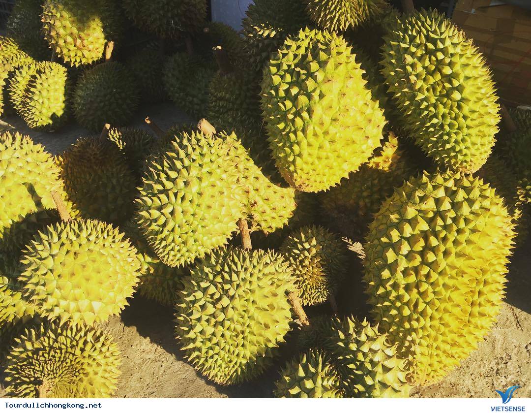 Thưởng thức trái cây Thưởng thức trái cây