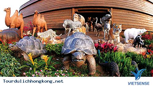 noah-cua-ark-of-hong-kong--tour-du-lich-hong-kong