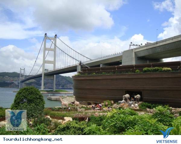 Noah’s Ark của Hồng Kông Noah’s Ark của Hồng Kông