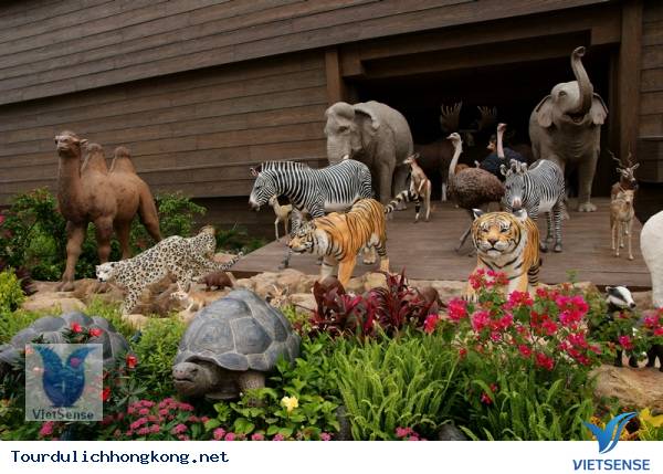Noah’s Ark của Hồng Kông Noah’s Ark của Hồng Kông