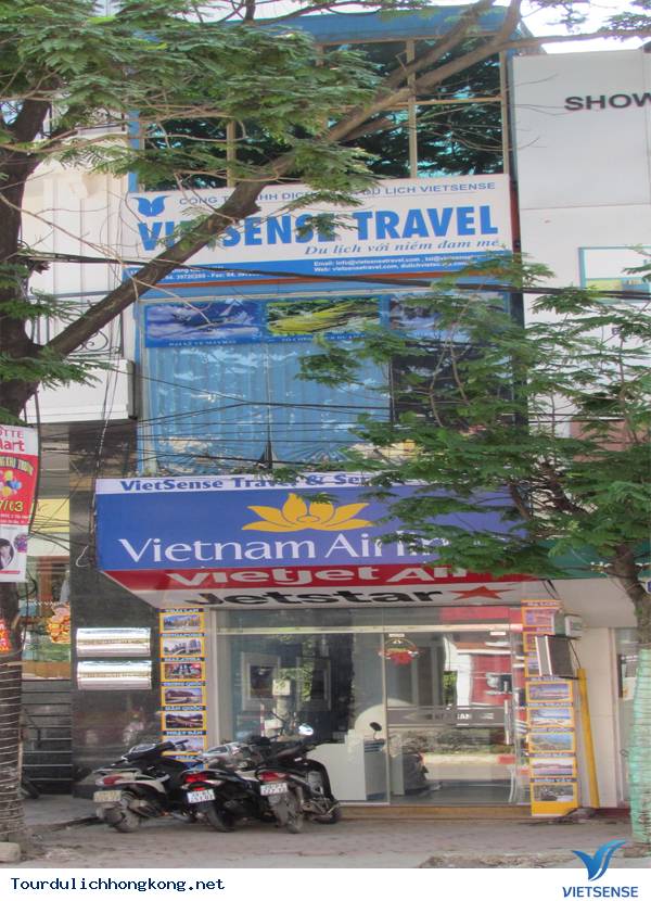 QUÁ TRÌNH HÌNH THÀNH VÀ PHÁT TRIỂN CỦA CÔNG TY VietSense
 - Ảnh 4