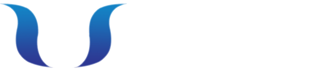 Ý Nghĩa Logo Và Tên Thương Hiệu VietSense Travel - Ảnh 2